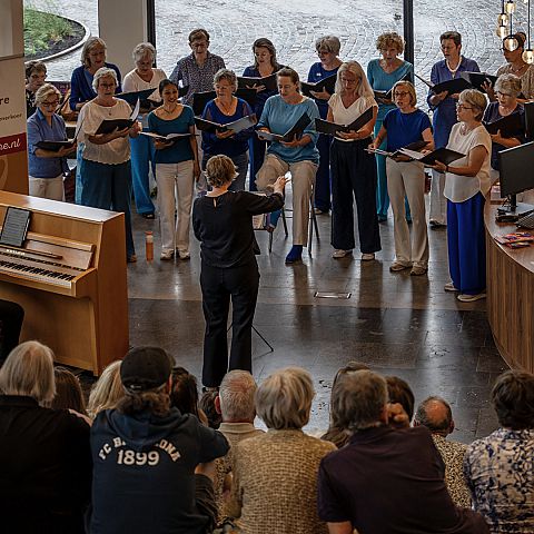 Cantilare tijdens Tilburg on Stage